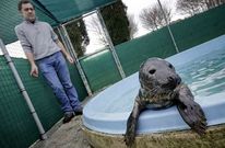 El animal descansa en la piscina bajo la mirada de uno de sus cuidadores, Jorge Pardo .