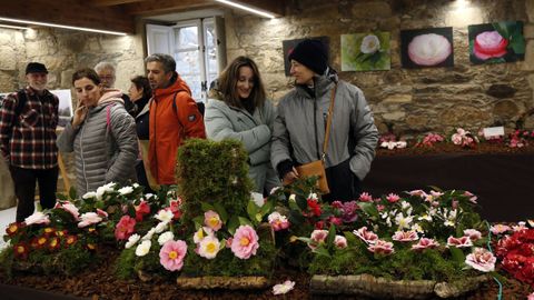  Exposicin de la  camelia en el pazo de Goians