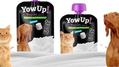Yogures para perros y gatos