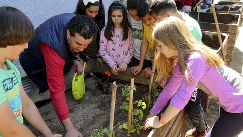 Huerto urbano en el CEIP Mondariz. La FAO ha declarado el 2020 Ao Internacional de la Sanidad Vegetal