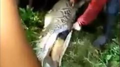 Encuentran el cuerpo de un agricultor en el interior de una pit�n