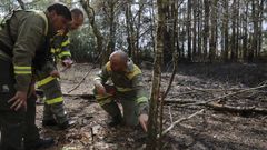 Anatom�a de un incendio forestal
