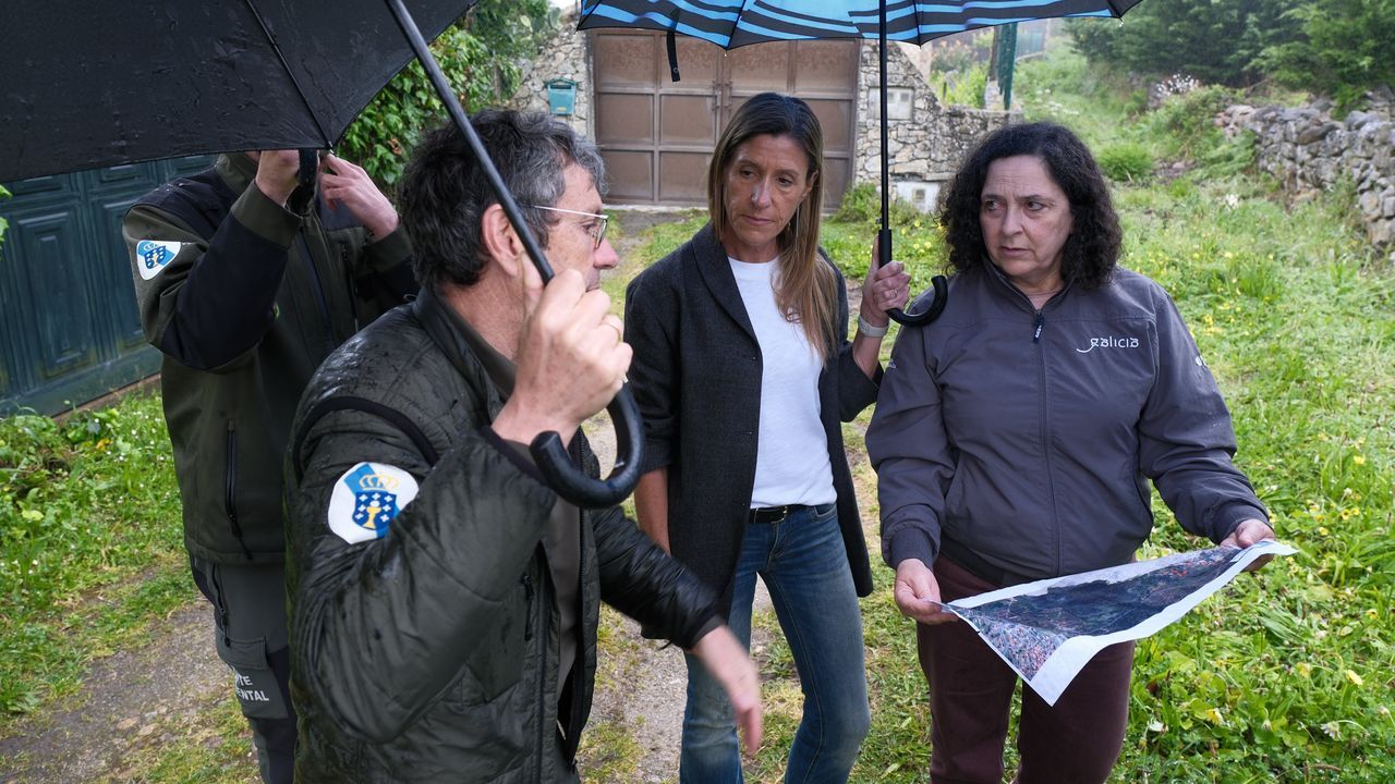 La Xunta invierte 16.300 euros en eliminar especies invasoras de la laguna de Louro