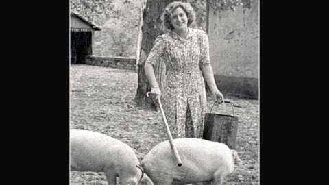 Una mujer atendiendo a los cerdos en Infiesto (1960). Contantino Suárez