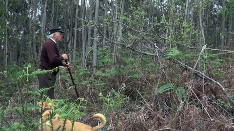  El nome de los �rboles . Ram�n Llu�s Bande, 2015