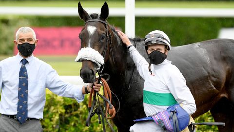 En el Reino Unido se han retomado las carreras de caballos, aunque ahora en los hipdromos abundan las mascarillas