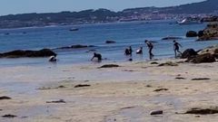 Furtivos de ba�ador en el islote Areoso