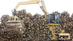 Una carga de madera en el puerto interior