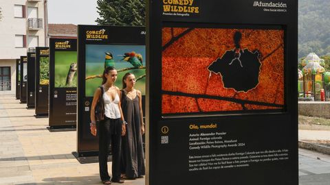 Afundaci�n lleva la exposici�n de los Premios Comedy Wildlife Photography Awards 2015-2024 al Parque dos xardinillos en Ribadavia. 