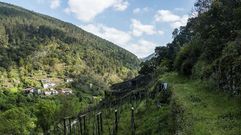 Im�genes de la ruta de A Queimada