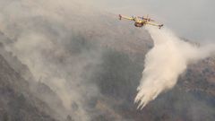 El coste de los incendios forestales no se tuvo en cuenta a la hora de hacer la valoracin.