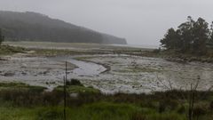 Zona marisquera de Camari�as sin mariscadoras.