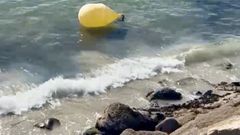 Una delas boyas de Rodeira, a la deriva