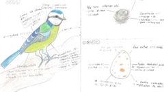 Captura del cuaderno presentado por el CPR Mart�n C�dax, de Vigo, que gan� en la categor�a de ESO.