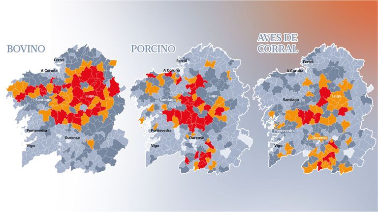 Cabezas de ganado en Galicia