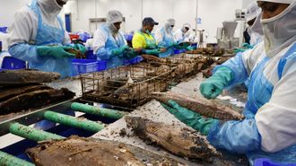 Marfr�o vende Central Lomera Portuguesa a�Wofco