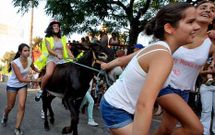Firmes y agazapadas, cualquier postura era v�lida para los participantes, intentando ser los primeros en llegar a la meta.