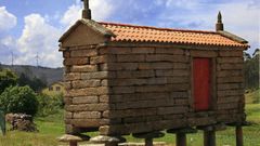 H�rreo p�treo, tipo arco fisterr�n, variedade Soneira en Bra�o (Vimianzo).