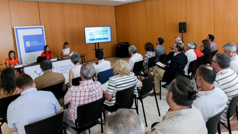 Presidido por la conselleira de Mar, Marta Villaverde, el Consello Galego de Pesca analiz ayer en Santiago el presupuesto de la UE para el 2028-2034