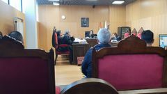 Un momento de la vista, que tendr&aacute; continuidad en abril 