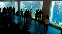 D�a de los Museos