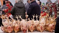 34.� Feira do Galo en Arteixo