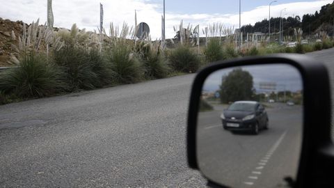 Imagen de la vegetaci�n en el tramo del vial situado a su paso por Visma