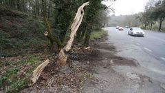 Lugar del Paseo do Rato en el que falleci� un joven la pasada madrugada al chocar contra un coche el veh�culo que conduc�a