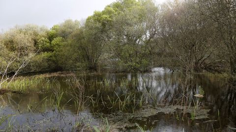 La laguna de Carragueiros es una de las que se incluyen en el catlogo autonmico.