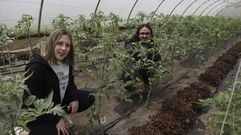 Nerea y Joaqu�n est�n en su tercera semana de formaci�n en las instalaciones de Fogar do Santiso.