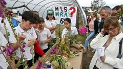 El centro celebr� una jornada de convivencia entre alumnado, profesores, padres y madres