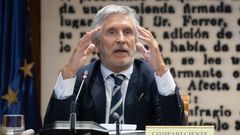 El ministro del Interior, Fernando Grande-Marlaska, durante su comparecencia de este martes en el Senado.