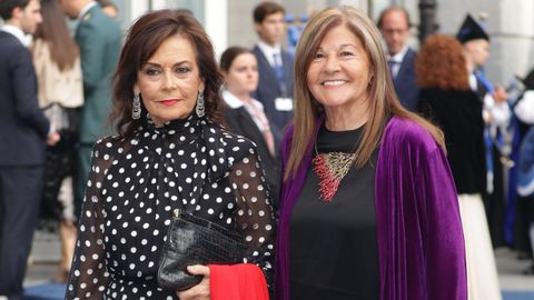 Mar�a Teresa �lvarez a su llegada al Teatro Campoamor para asistir a la ceremonia de entrega de los 'Premios Princesa de Asturias 2025'