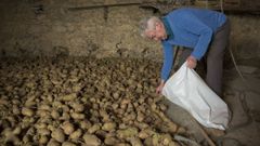 Foto de archivo de un vecino de Mux�a que en su d�a tuvo que entregar las patatas por estar afectadas por la couza