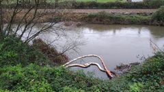 Vertido en la r�a de Avil�s