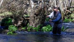 Pescador, en un tramo del r�o Naria, en Lugo