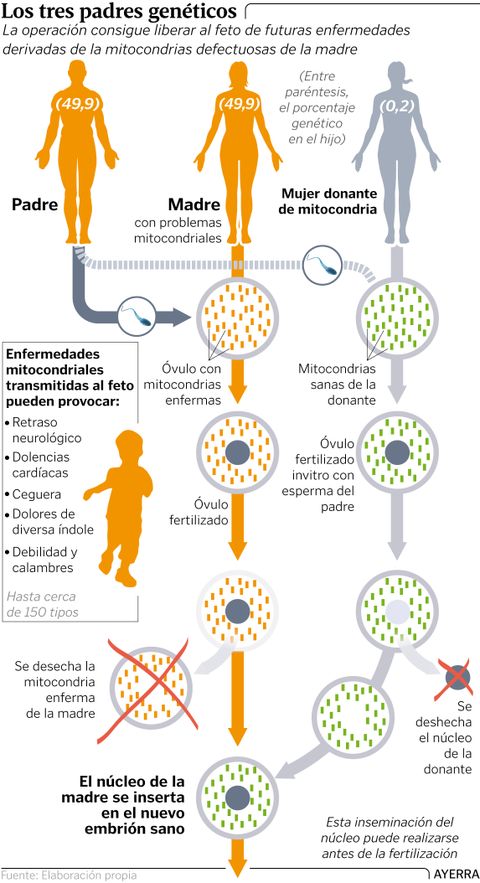 Los tres padres gen�ticos
