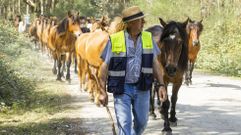 Los caballos de Monte Faro ya aguardan por la Rapa de Vimianzo: �im�genes!