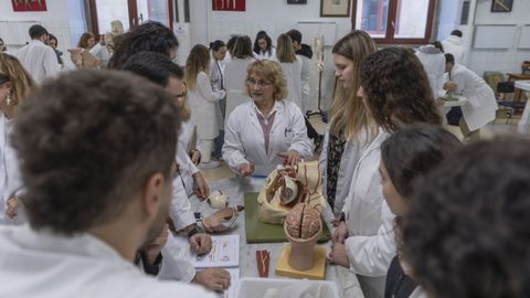 Imagen de archivo de una clase de Medicina en Santiago