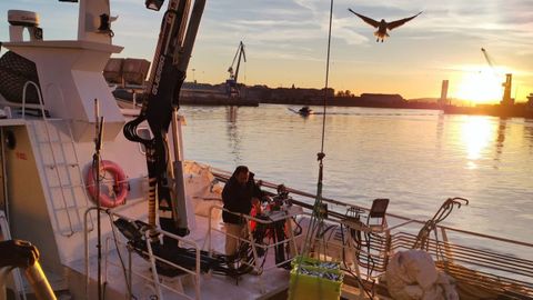 Un cerquero descargando en el puerto de A Coru�a en junio del 2026.