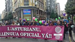 Manifestaci�n pola oficialid� del asturianu