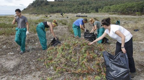Erradicacin de especies invasoras en Balars, en imagen de archivo