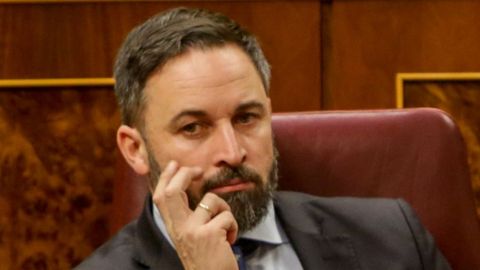 Santiago Abascal, en el Congreso