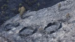 Antiguas alvarizas que el fuego puso al descubierto cerca de la aldea de Vilarmel