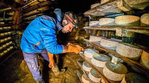 Cueva de la queser�a de Cabrales de Pepe Bada, que elabora el famoso y muy apreciado Teyedu