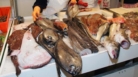 Al contrario que a principios de siglo, en el 2026 la casta�eta o palometa negra casi ha desaparecido de las pescader�as gallegas.