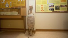 Imagen de una de las salas del Museo de Prehistoria e Arqueolox�a de Vilalba (Mupav) 
