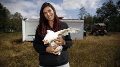 Criadores de Gallinas Araucanas en Xermade