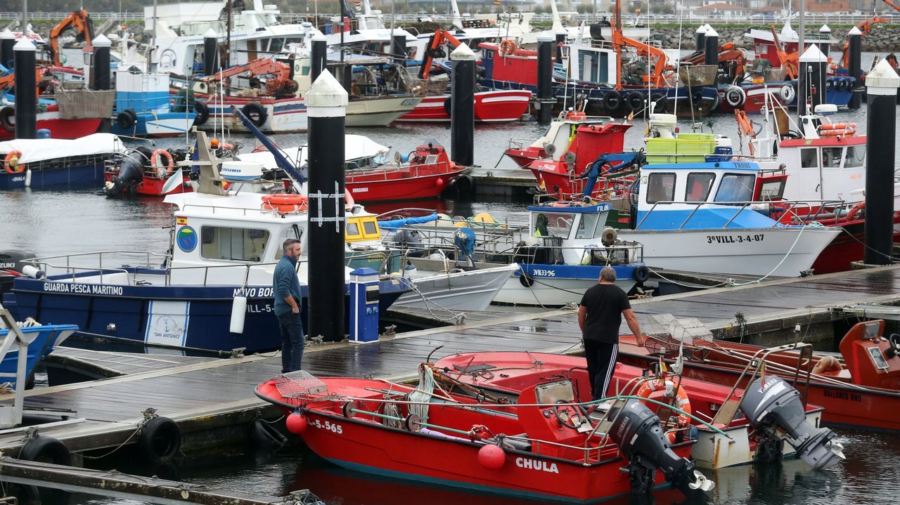 Cambados encabeza la rebelión contra el diario electrónico en los barcos de más de doce metros: paro de la flota el lunes y concentración en Tragove