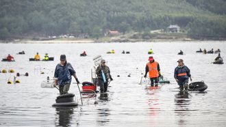 Mariscadoras faenando en Louriz�n a mediados de octubre del 2024